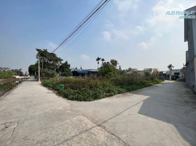 Bán đất siêu rẻ 50,6m² Giá chỉ 920. tại Hoàng Lâu, An Dương, Hải Phòng - 3