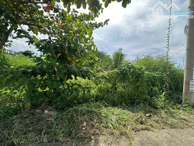 Bán 28m x 35m đất ONT Hẻm Lý Thái Tổ - Tân Tiến - LaGi giá rẻ 100tr/m ngang - 3