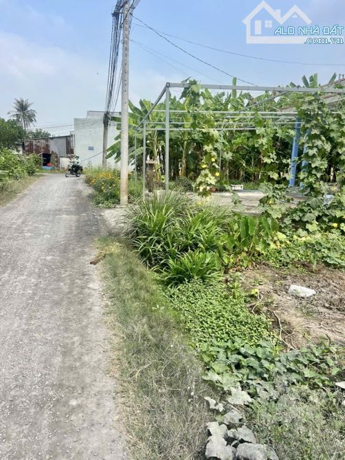 Nền thổ cư _dt 117m2 đường Liên ấp 4M, Long Hoà, Cần Đước LA, giá rẻ 1 tỷ 050 - 3