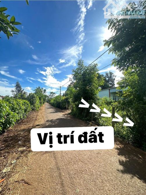 💚HẺM CẤP 1 KBU XÃ HOA PHÚ MỚI   MẶT TIỀN KINH DOANH TÌM ĐÂU RA NHỈ - 3