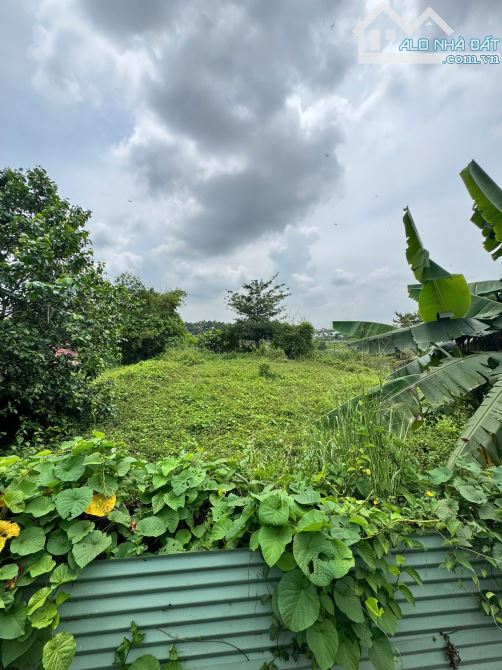 X108 Bán Xưởng Mặt Tiền Quốc Lộ 51 trung tâm 3 KCN lớn Long Thành - An Phước - Long Đức - - 3