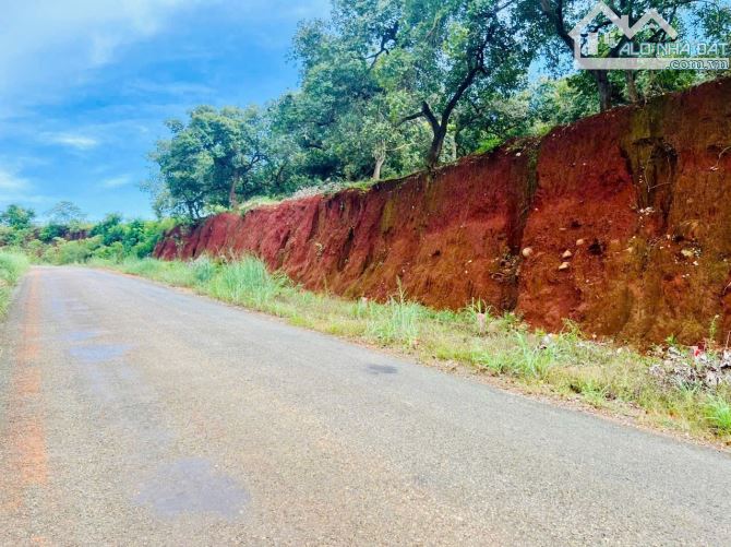 1.2Ha Tân Hưng Đồng Phú có 158m mặt tiền đường nhựa giá 3 tỉ - 3