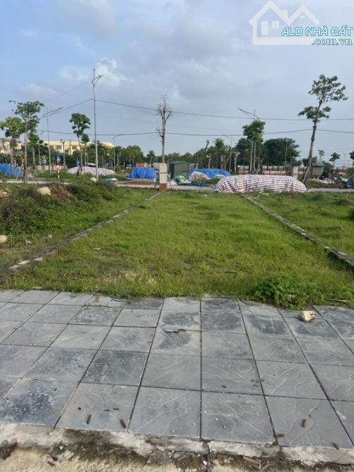 🏡 Bán đất đấu giá X7 Nguyên Khê – 86m² – Giá 9,2 tỷ – Vị trí đắc địa, kinh doanh sầm uất! - 3