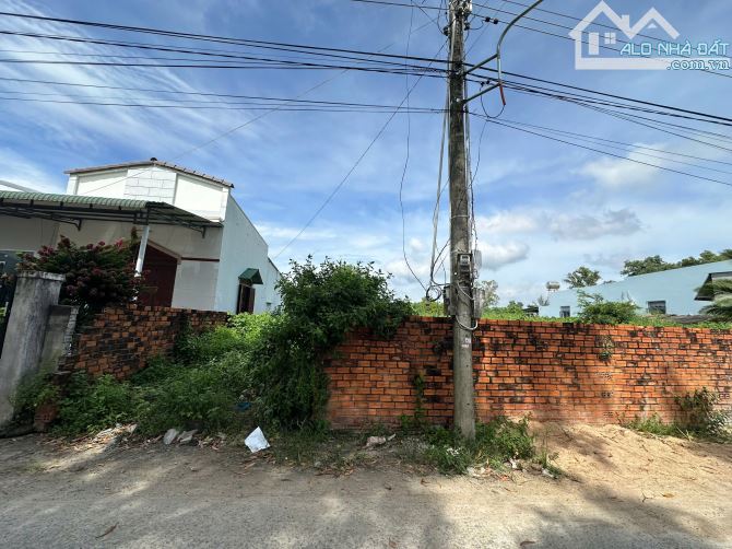 Bán 10m x 44m đất 2 mặt đường hẻm Lý Thái Tổ, Tân Tiến, LaGi giá đầu tư - 4