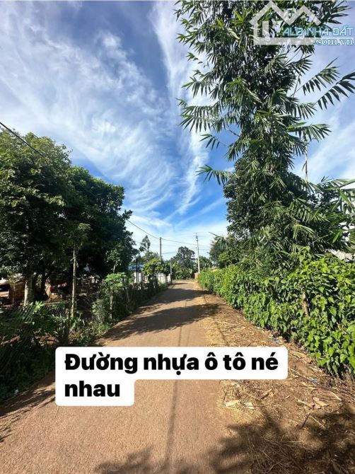 💚HẺM CẤP 1 KBU XÃ HOA PHÚ MỚI   MẶT TIỀN KINH DOANH TÌM ĐÂU RA NHỈ - 4
