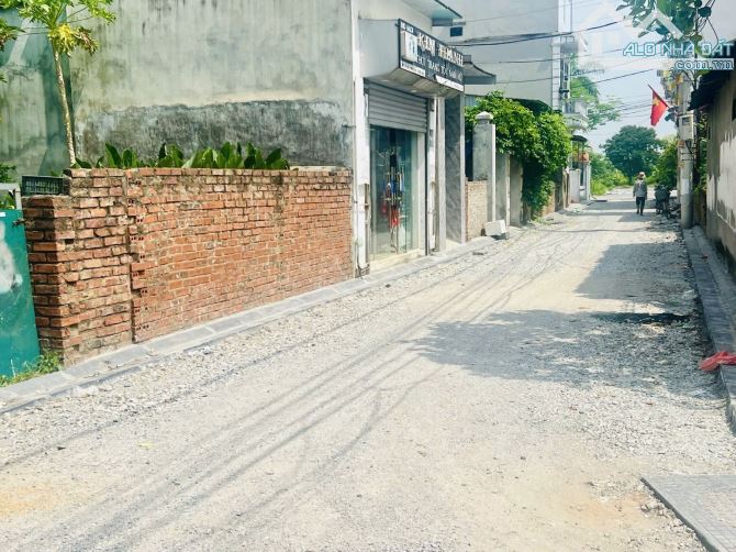 Bán đất đối diện Vinhomes Cổ Loa 73m2 lô góc ba thoáng ô tô vào đất 6.3 tỷ - 4
