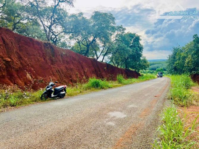 1.2Ha Tân Hưng Đồng Phú có 158m mặt tiền đường nhựa giá 3 tỉ - 4