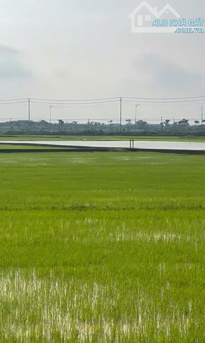 CẦN BÁN SIÊU PHẨM ĐẤT VIEW RUỘNG VỊ TRÍ TUYỆT ĐẸP SÁT BÊN THỊ TRẤN ĐÔNG DÂN CƯ,GẦN BIỂN.. - 4