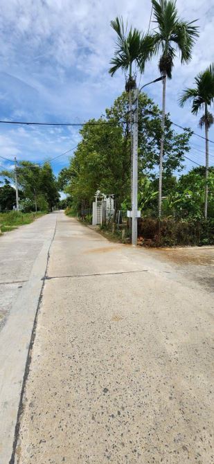 🎉🎉* Đất đường 5m thôn An trạch. * Sát đường 409 , Nam Kỳ khởi Nghĩa. - 5