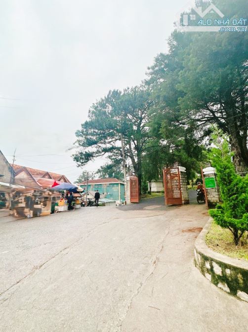 BÁN LÔ ĐẤT MAI HẮC ĐẾ, TRUNG TÂM P6 ĐÀ LẠT -Diện tích:162,88m - Toàn bộ thổ cư. (2 sổ riên - 5