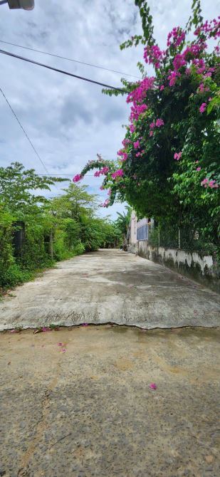 🎉🎉* Đất đường 5m thôn An trạch. * Sát đường 409 , Nam Kỳ khởi Nghĩa. - 6
