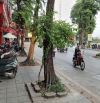 (Mặt tiền 20m) Bán nhà mặt phố Nguyễn Hữu Thọ, Hoàng Liệt, Hoàng Mai, 450m2 MT 20m, 145 tỷ