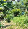 Phan Đăng Lưu - mặt tiền rộng - ôtô tránh - giá đầu tư thấp