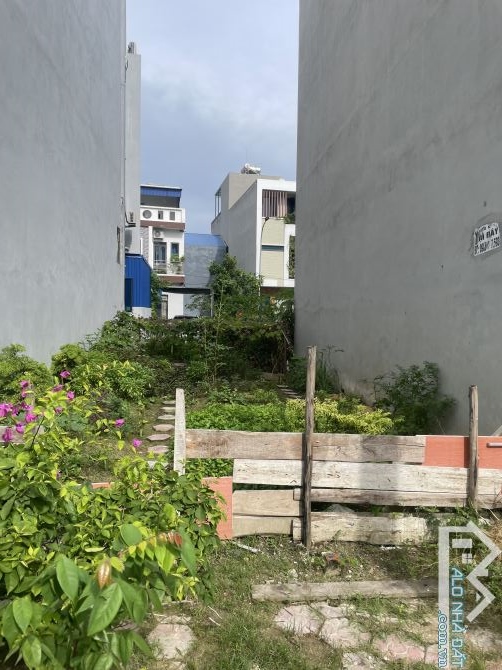 💥 BÁN LÔ ĐẤT 50M – KHU TÁI ĐỊNH CƯ XI MĂNG, SỞ DẦU, HỒNG BÀNG – GIÁ 3,6 TỶ