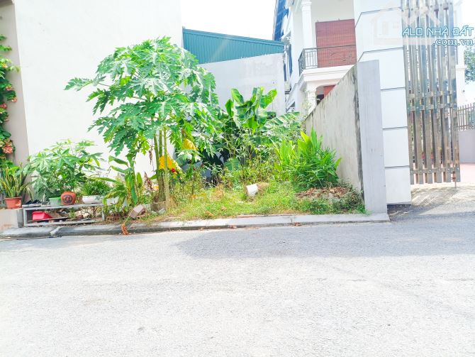 BÁN ĐẤT HẢI BỐI, ĐÔNG ANH, HÀ NỘI – VỊ TRÍ VÀNG!  NGAY THÀNH PHỐ THÔNG MINH