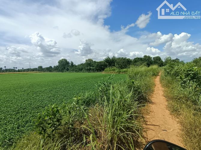 🌊 BÁN ĐẤT GIÁ RẺ MẶT TIỀN SÔNG CẦU SÁNG – HÓC MÔN – 3.760M² CHỈ 13,5 TỶ 🌟