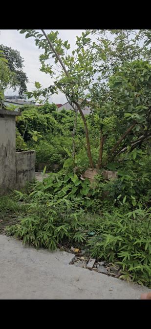 🔥 BÁN 2 LÔ ĐẤT LIỀN KỀ – THÔN 5 BẮC SƠN CŨ 🔥  277m2