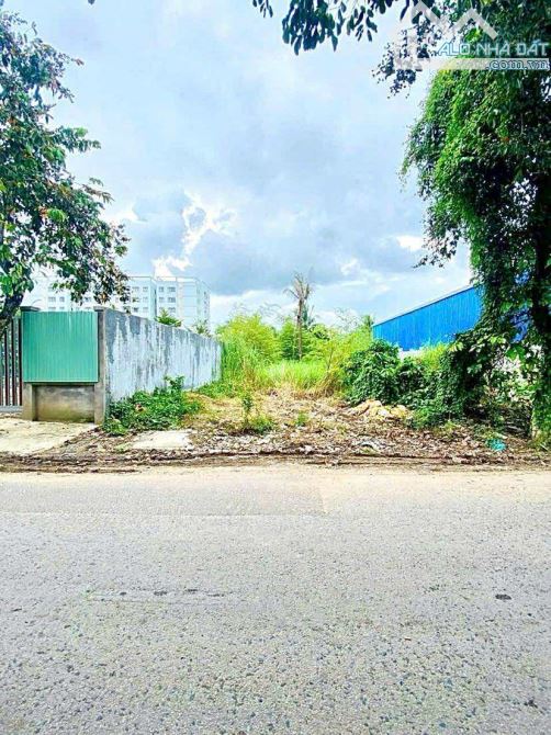 Bán đất 361 m2 mặt tiền đường Lê Hồng Nhi