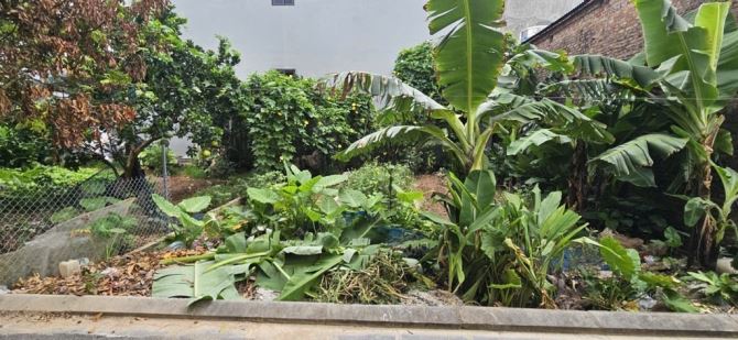 🔥 48M² FULL THỔ CƯ - Ô TÔ 5 CHỖ VÀO ĐẤT - HẢI BỐI, ĐÔNG ANH
