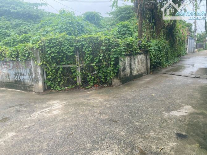 Cho thuê 15 triệu/tháng hoặc bán 70 tỷ đất ven sông phường Bửu Long vị trí đẹp