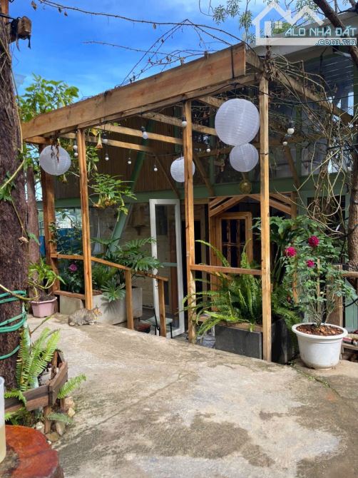 Homestay mặt tiền view hoàng hôn- Hoàng Hoa Thám - p10 - Đà Lạt- 1000m2 - 37.5 tỷ