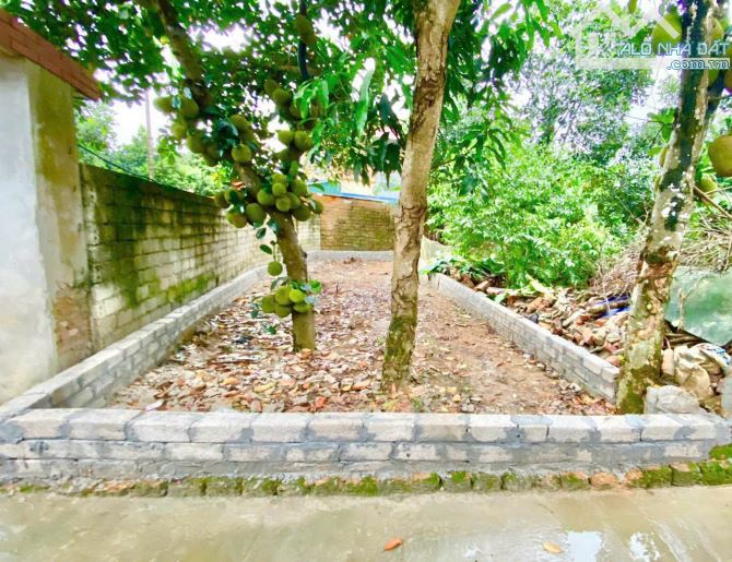 Cần bán 64m full thổ cư vị trí đẹp tại thôn Cánh Chủ  Bình Yên- Thạch Thất