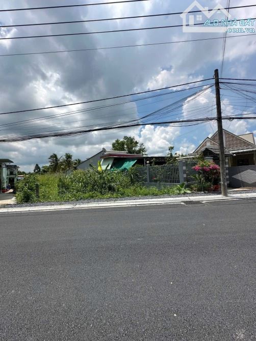 9,5x50(cạnh 56m)=451m2 100m2 Thổ Cư 351m2 CLN Mặt Tiền Bông Vang,Mỹ Khánh,TPCT Giá 4Tỷ700