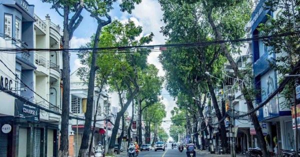 Đất 22,8 TỶ Mặt Tiền số 107 đường Phan Đình Phùng (Cách Bến Ninh Kiều 200m), TP CẦN THƠ