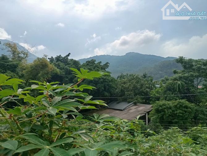 Bán đất thôn Dy, Minh Quang, Ba Vì, 3092m, 34m mặt đường nhựa, view đẹp, rất chill, 11.5tỷ