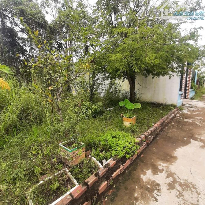 CẶP NỀN THỔ CƯ NHÁNH ĐƯỜNG LÊ THỊ HỒNG GẤM GẦN KCN TRÀ NÓC- PHƯỜNG TRÀ NÓC, TP.CẦN THƠ.