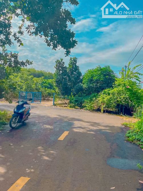 Nhà vườn đẹp sẵn 300m2 thổ cư diện tích đất tới 6.597m2, mặt tiền nhựa 55m - 1
