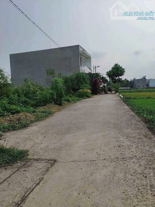 Bán đất sổ hồng riêng giá rẻ tại xã Bình Mỹ, huyện Củ Chi cũ diện tích 5x20 mét - 1