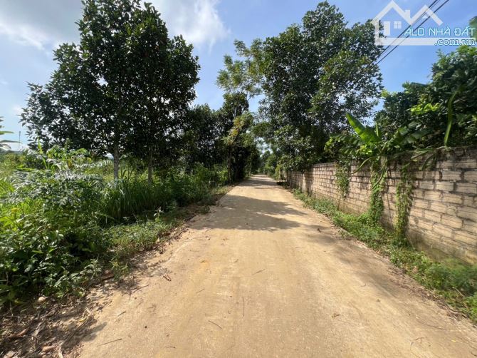 Đất đẹp, Ba trại, Suối Hai, Ba Vì, 722m, 150tc, vuông, đường rộng, thông, gần TL, 2.8tỷ - 1
