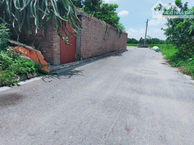 🛑ĐẤT ĐẸP CỔ LOA - ĐÔNG ANH. ĐƯỜNG THÔNG CÁC NGẢ, ÔTÔ VÀO ĐẤT - NGAY GẦN BÌA LÀNG, NHÀ VH - 1