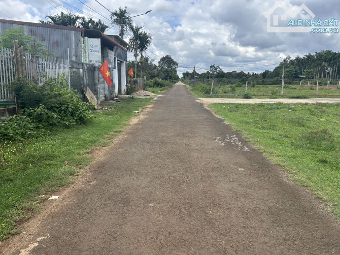 🅿️❇️Đất đường Ka11, Eatu, Phường Tân An, Cách Uỷ Ban Tân An 350m, 1,590 tỷ, 5x24m❇️ - 1
