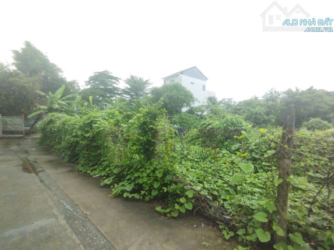 Cho thuê 15 triệu/tháng hoặc bán 70 tỷ đất ven sông phường Bửu Long vị trí đẹp - 1