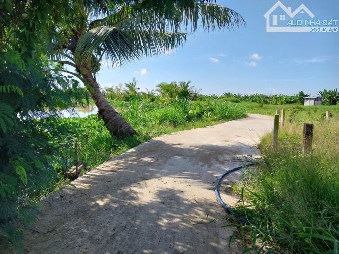 450tr (6x31) đất đẹp,ôtô gần TL873, QL50 tại TP Gò Công, Tiền Giang. - 1