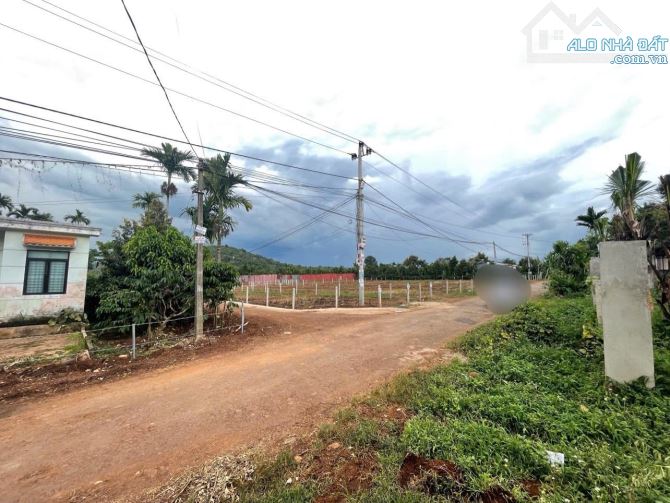 GÓC 2 MẶT TIỀN 9x50m TRỤC CHÍNH KOMLEO – PHƯỜNG TÂN LẬP MỚ 2 TỶ 290 - 1