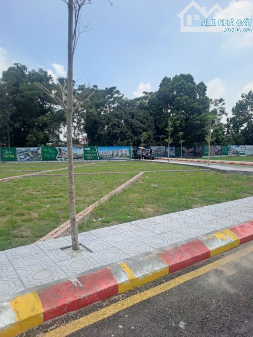 BÁN ĐẤT PHÂN LÔ LIỀN KỀ, SƠN ĐÔNG, LÔ GÓC 100M2, MT 6M, 4 TỶ. - 1