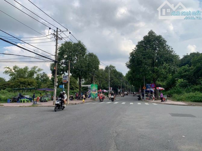 Giá rẻ 4 tỷ 380 TL. Bán đất tđc Quang Vinh đường Nguyễn Du, Trấn Biên, Biên Hoà. Sổ sẵn. - 1