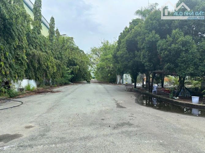 Cho thuê kho Quận 7. Đa dạng diện tích 1.000m2- 30.000m2. Lưu kho các mặt hàng - 1
