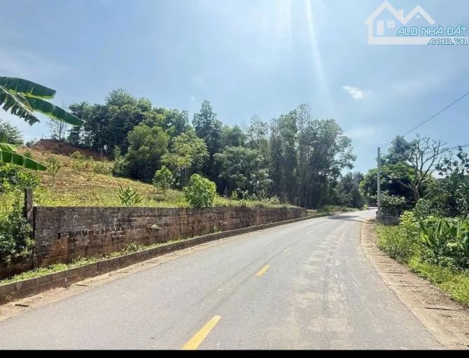 Bán đất thôn Dy, Minh Quang, Ba Vì, 3092m, 34m mặt đường nhựa, view đẹp, rất chill, 11.5tỷ - 1