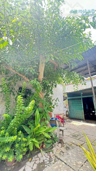 GẤP BÁN ĐẤT 174M TẶNG 2 CĂN NHÀ CẤP 4 PHƯỚC KIỂN NHÀ BÈ CHỈ NHỈNH 2 TỎI - 1