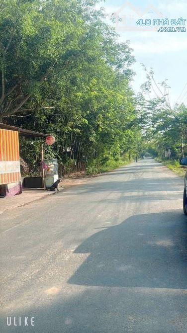 🌟 Bán đất Phú An – Đường nhựa 7m, sát trường học, giá chỉ 2 tỷ 150 🌟 - 1