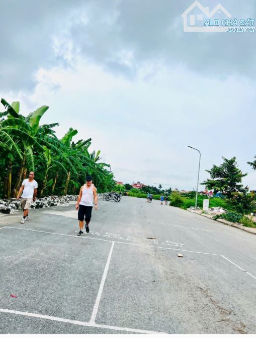 🌟 BÁN ĐẤT PHÂN LÔ ĐỐNG CHUỐI – HÙNG VƯƠNG, HỒNG BÀNG, HẢI PHÒNG 🌟 - 1
