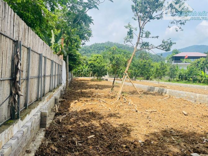 Cần bán 365m2, 150m2 đất ở, sổ HN. Giá nhỉnh 10tr/m. Tại xã Yên Bài, Ba Vì, Hà Nội - 1