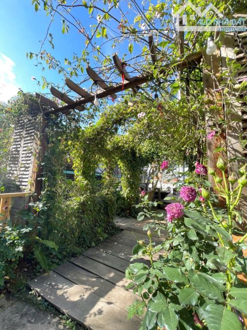 Homestay mặt tiền view hoàng hôn- Hoàng Hoa Thám - p10 - Đà Lạt- 1000m2 - 37.5 tỷ - 12