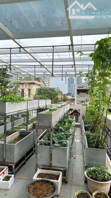 Biệt thự mini Khu vực Ciputra - Xuân La - Xuân Đỉnh - Tây Hồ - 12