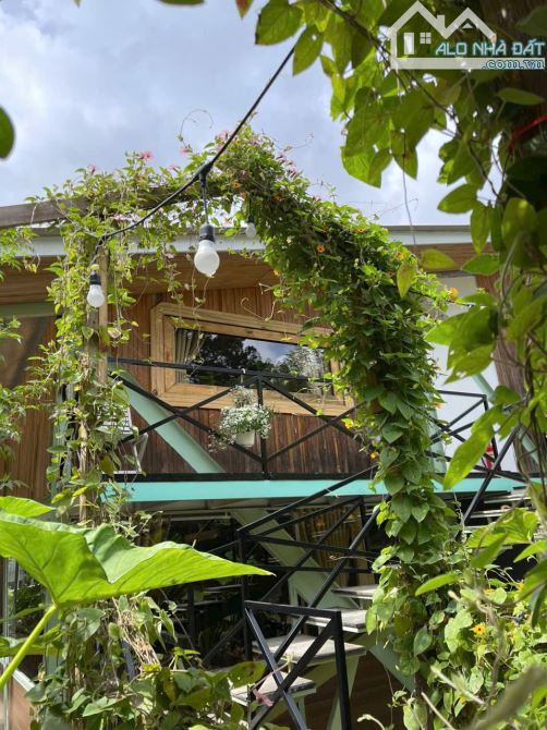 Homestay mặt tiền view hoàng hôn- Hoàng Hoa Thám - p10 - Đà Lạt- 1000m2 - 37.5 tỷ - 13