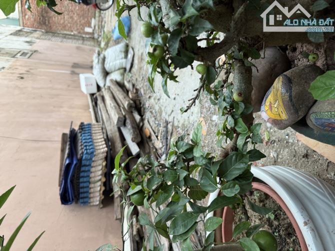 Đất Vàng Tây Hồ - Oto 7c - Thông Ciputra - Nhỉnh 12 Tỷ - 2
